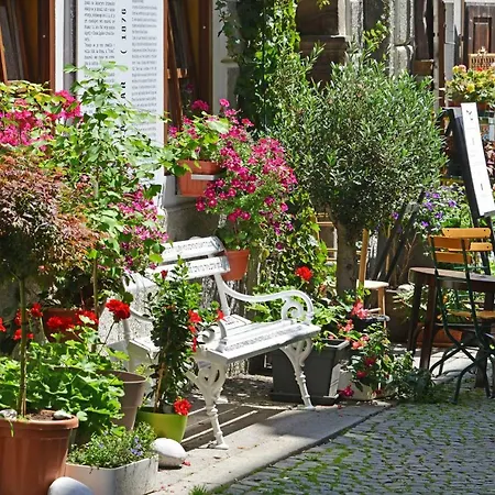 Privat bolig Homestay In Light Sojourn *